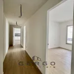 Rent 3 bedroom apartment of 80 m² in Padua