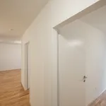 Rent 3 bedroom apartment of 66 m² in Vienna