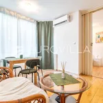 Rent 1 bedroom apartment of 47 m² in Zagreb