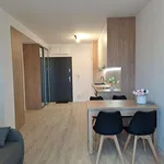 Rent 1 bedroom apartment of 34 m² in Łódź