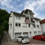 Rent 1 bedroom apartment of 52 m² in Meiningen