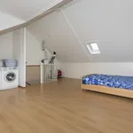 Rent 3 bedroom house of 125 m² in Breda