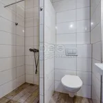 Rent 1 bedroom apartment of 30 m² in Vejprnice