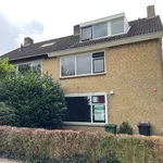 Rent 1 bedroom apartment of 17 m² in Groningen