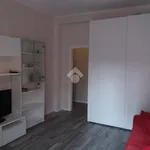 Rent 1 bedroom apartment of 32 m² in Milano