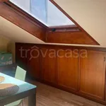 Rent 3 bedroom apartment of 100 m² in Pescara