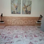 Rent 1 bedroom apartment of 35 m² in Senigallia