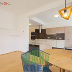 Rent 3 bedroom apartment of 70 m² in Praha