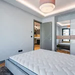 Rent 1 bedroom apartment of 52 m² in Budapest