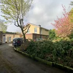 Rent 1 bedroom apartment in Tallaght