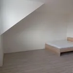 Rent 1 bedroom apartment of 30 m² in Brno