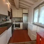 Affitto 5 camera casa di 100 m² in Sesto Fiorentino