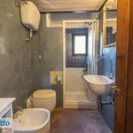 Rent 1 bedroom apartment of 35 m² in Florence