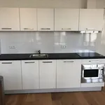 Rent 3 bedroom apartment of 85 m² in Rotterdam