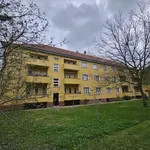 Miete 1 Schlafzimmer wohnung von 61 m² in Magdeburg