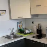 Appartement de 20 m² avec 1 chambre(s) en location à Nice