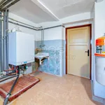 Rent 1 bedroom house of 268 m² in Pilsen