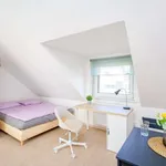 Rent 1 bedroom apartment of 25 m² in prague