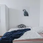 Rent a room in berlin