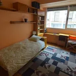 Rent 3 bedroom apartment in Bilbao