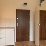 Rent 1 bedroom apartment of 13 m² in Nasyp