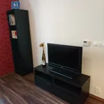 Pronajměte si 1 ložnic/e byt o rozloze 45 m² v Prague