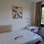 Rent 3 bedroom apartment in NAMUR