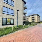 Appartement de 88 m² avec 2 chambre(s) en location à Oudenaarde