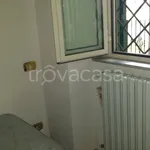 Rent 2 bedroom apartment of 45 m² in Frosinone