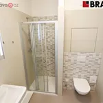 Rent 1 bedroom apartment of 28 m² in Brno