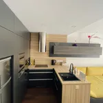 Pronajměte si 1 ložnic/e byt o rozloze 59 m² v Prague