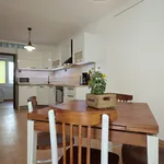 Rent 1 bedroom apartment of 52 m² in Prague