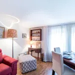 Rent 1 bedroom apartment in rome