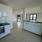 Rent 4 bedroom apartment of 91 m² in LYON 07