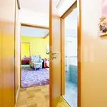 Rent 3 bedroom apartment in České Budějovice