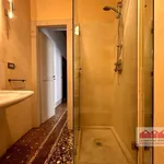 Rent 3 bedroom apartment of 120 m² in Vicenza