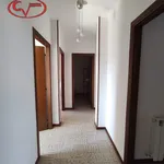 Rent 2 bedroom apartment of 95 m² in Montevarchi