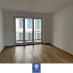 Rent 2 bedroom apartment of 54 m² in Dresden