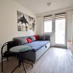 Rent 1 bedroom apartment in Brno