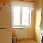 Rent 1 bedroom apartment in Chrudim