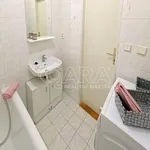 Rent 1 bedroom apartment in Králův Dvůr