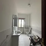 Rent 3 bedroom apartment of 90 m² in Roma