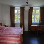 Rent 2 bedroom apartment of 59 m² in Erkner