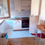 Rent 1 bedroom apartment of 40 m² in Pisa