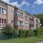 Miete 2 Schlafzimmer wohnung von 62 m² in Bochum