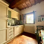 Rent 2 bedroom apartment of 50 m² in Vicopisano