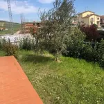 Rent 4 bedroom apartment of 80 m² in Cerreto Guidi