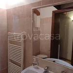 Rent 3 bedroom apartment of 70 m² in Pisa