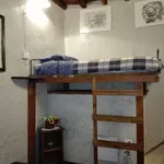 Rent 1 bedroom apartment of 38 m² in Florence