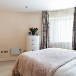 Rent 1 bedroom flat of 418 m² in London